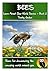 Bees: Learn About Your World Series - Book 2