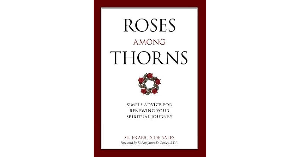 Roses Among Thorns Simple Advice for Renewing Your Spiritual Journey
