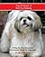 How to Groom A Shih Tzu Per...
