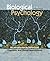 Biological Psychology: An I...