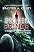 Broken Prince: A Red Gemini...