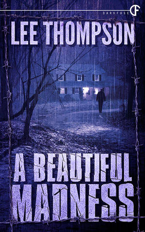 A Beautiful Madness (Paperback)