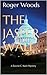 The Jasper Wall (A Davine C. Nash Mystery Book 1)