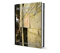 In Between Seasons By Cassandra Giovanni