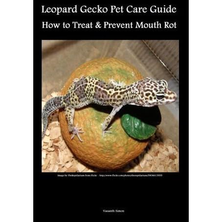 Exotic Pet Guide Leopard Gecko Pet Care How To Treat Prevent Mouth Rot By Vasanth Simon
