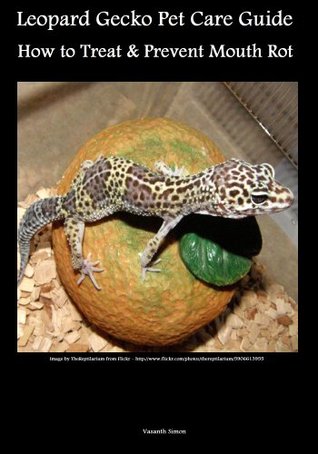 Exotic Pet Guide Leopard Gecko Pet Care How To Treat Prevent Mouth Rot By Vasanth Simon