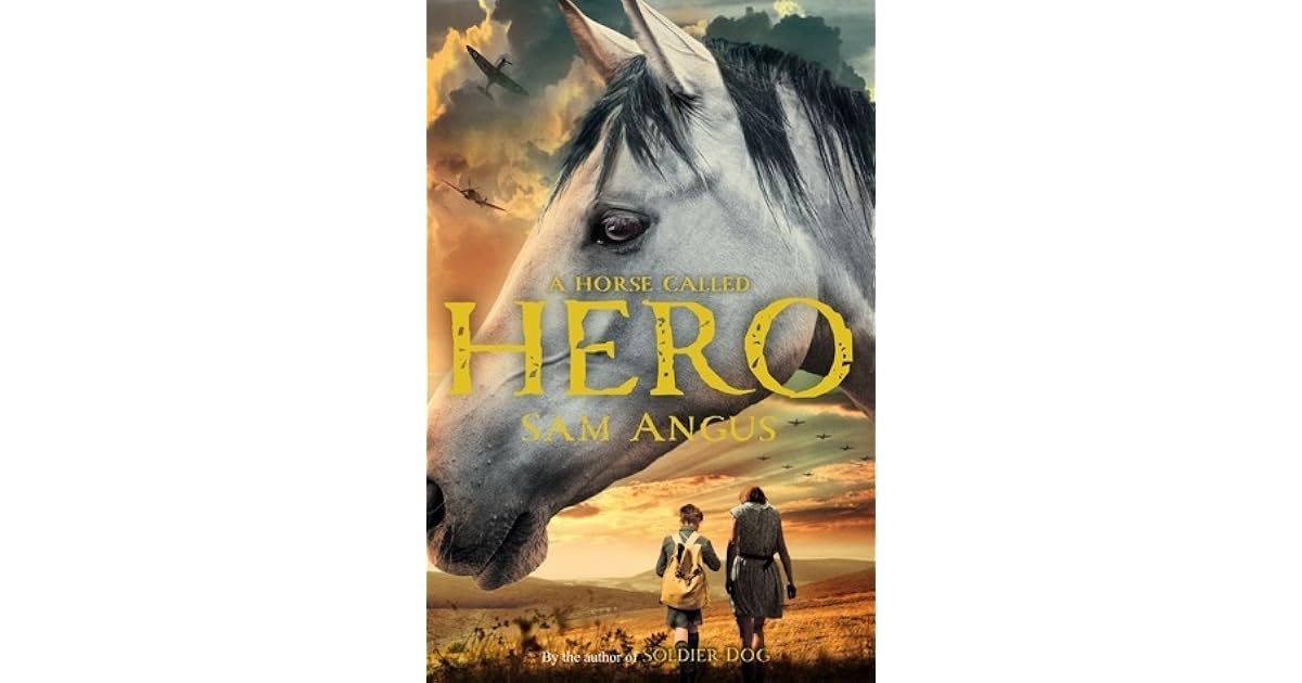 A Horse Called Hero by Sam Angus