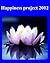 Happiness project 2012: how...