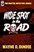 Wide Spot in the Road (The Drifter Detective)