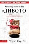 Моето приключение...