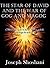David Shield in Gog and Magog War: End of the world prophecy