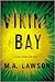 Viking Bay (Kay Hamilton, #2)