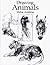 Drawing Animals