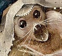 The Complete Knifepoint Horror By Soren Narnia