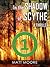 In the Shadow of Scythe