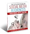 The Little Big eBook on Social Media Audiences by Cendrine Marrouat