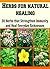Herbs for Natural Healing: 30 Herbs that Strengthen Immunity and Heal Everyday Sicknesses: herbs, natural remedies, herbal remedies, herbal cures, essential oils)