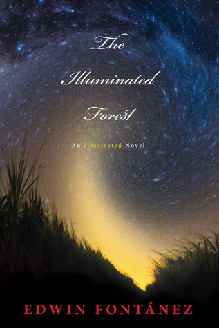 The Illuminated Forest