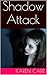 Shadow Attack