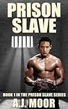 Prison Slave: Book 1 in the Prison Slave Series