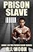 Prison Slave: Book 1 in the Prison Slave Series