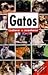 Gatos - Conhecer e reconhecer