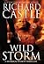 Wild Storm (Derrick Storm, #5)