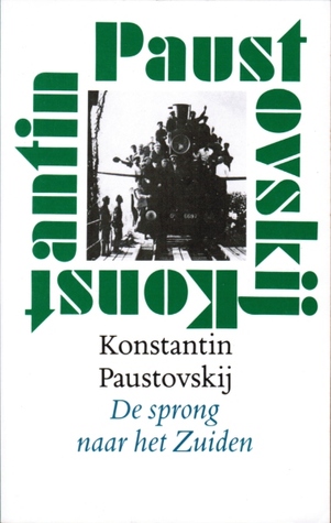 De sprong naar het Zuiden (Paperback)