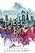 A Thousand Pieces of You (Firebird, #1)