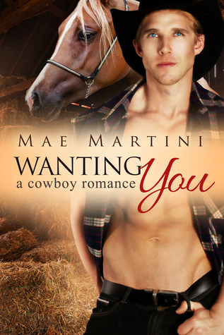 Wanting You (Texas Hill Country Romance #2)