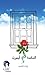 النافذة التي أبصرت
