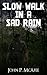 Slow Walk in a Sad Rain by John P.  McAfee