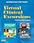 Virtual Clinical Excursions for Nursing Care of Children: Principles & Practice