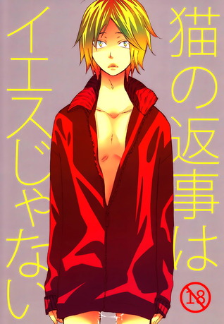 猫の返事はイエスじゃない [Neko no henji wa iesu janai] (Unknown Binding)