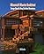 Minecraft Master Architect: Design Step by Step the best structures