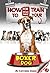 How to Train your Boxer Dog