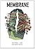 Membrane