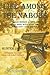 Life Among the Nabobs: An Award Winning Journalist's First Hand Account of the Turbulent 1960s and 70s
