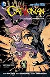 Catwoman, Volume 4: Gotham Underground