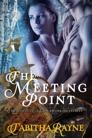 The Meeting Point (The Clockwork Butterfly Trilogy, #3)