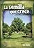 La semilla que crece