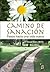 Camino de sanación. Pasos hacia una vida nueva