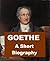 Goethe - A Short Biography by Walter Alison Phillips