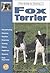 Guide to Owning a Fox Terrier