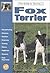 Guide to Owning a Fox Terrier