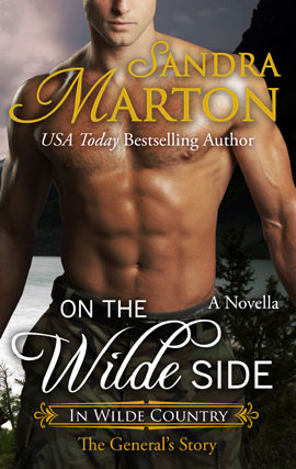 On The Wilde Side (In Wilde Country, #0.5)