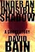 Under An Invisible Shadow