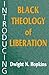 Introducing Black Theology of Liberation by Dwight N. Hopkins