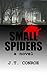 Small Spiders