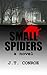 Small Spiders
